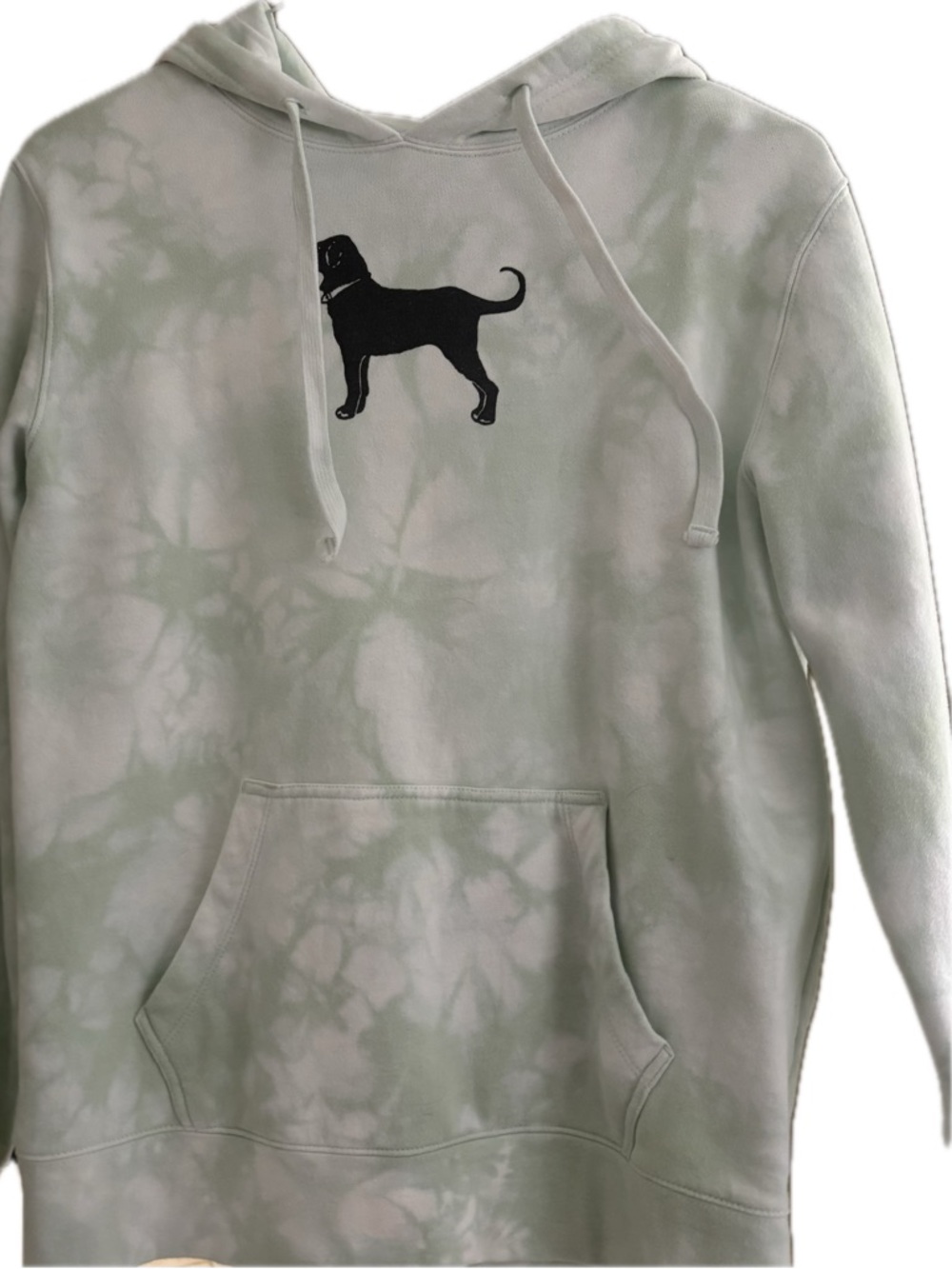 The Black Dog Martha’s Vineyard Hoodie in Light Mint Tie Die